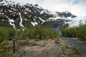Hiking out to Exit Glacier, Kenai Fjords National Park, Seward, Alaska. Love me some Alaska travels. The sign “1951” denotes where Exit Glacier was that year, you can see how far it has receded since then. #exitglacier #seward #kenai #kenaifjordsnationalpark #climatechange #recedingglaciers #alaska #roadtrip #goanddo #dothework #liveyourpassion